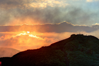 DSC_2931-36.jpg