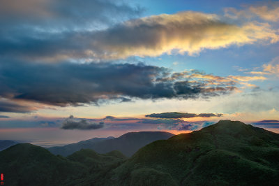 DSC_2951-55.jpg