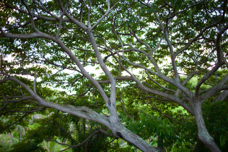 _87F4530.jpg