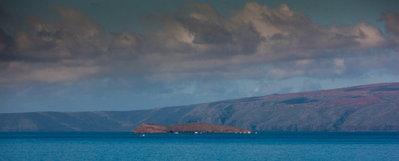 _87F4849.jpg