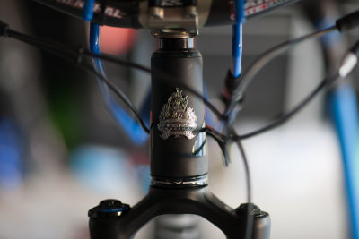 Intense 275c