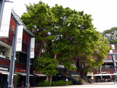 P1050641.JPG