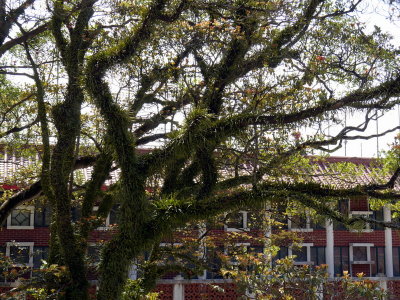 P1050435.JPG