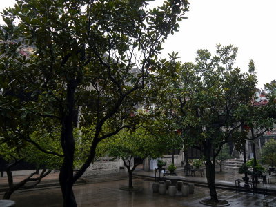 P1070545.JPG