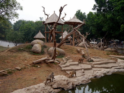 P1060741.JPG