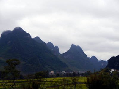 P1050769.JPG