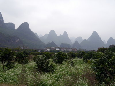 P1060234.JPG