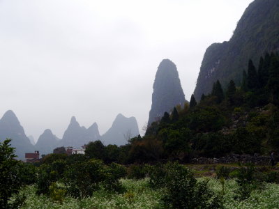 P1060235.JPG