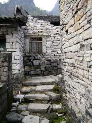 P1060411.JPG