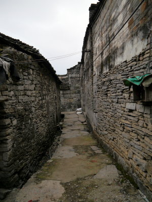 P1060415.JPG