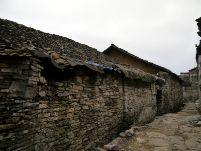 P1060417.JPG
