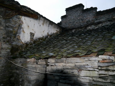 P1060427.JPG