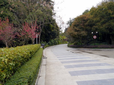 Guilin Botanical Gardens
