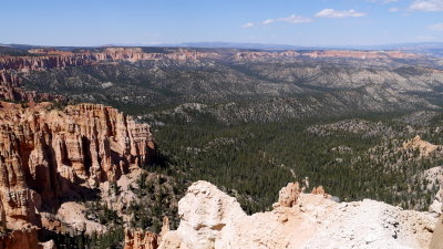 P1010377.JPG