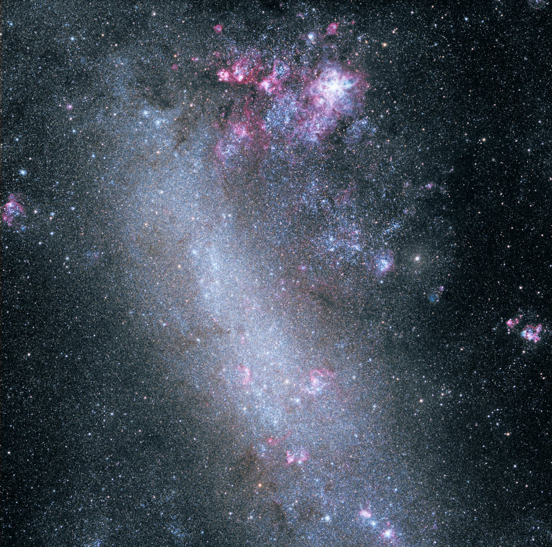 The Large Magellanic Cloud 