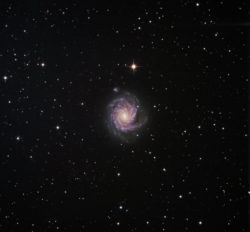 Spiral Galaxy NGC1232  widefield