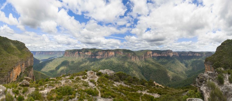 Pearces Pass Blue Mountains Australia