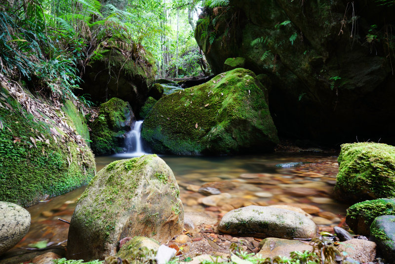 Megalong Valley Coachwood Glen Waterfall NSW Australia