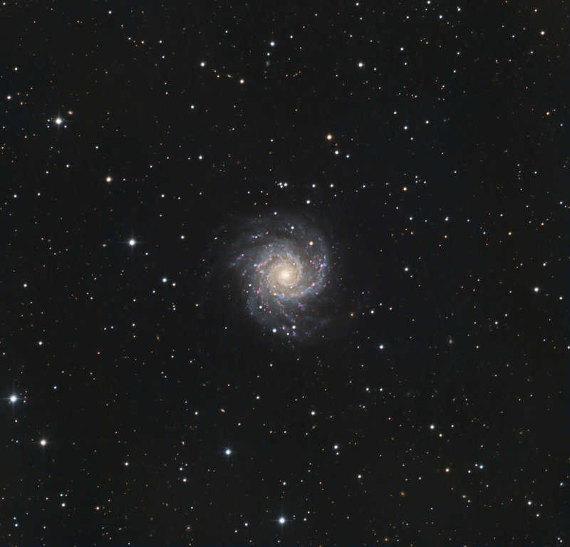 M74 