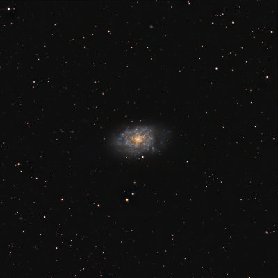 NGC7793 Spiral Galaxy 3.5 hours