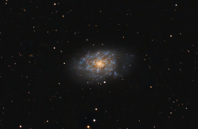 Spiral Galaxy NGC7793  crop view