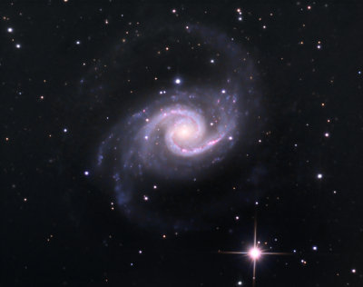 Southern Spiral Galaxy NGC1566 