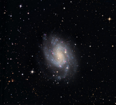 Southern Spiral Galaxy NGC300 