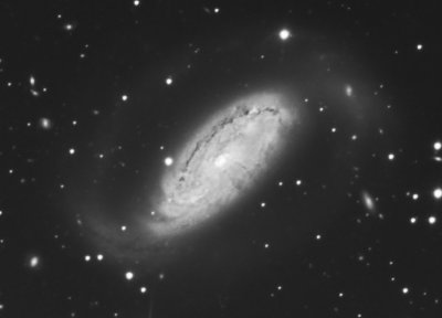 NGC1808 luminance cropped.jpg