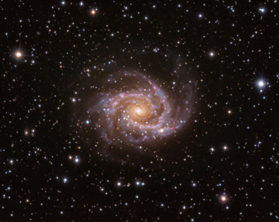 Southern Spiral Galaxy NGC2997 