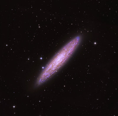 Southern Galaxy The Sculptor NGC253 