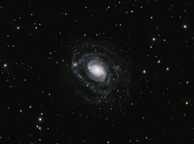 Distorted Southern Galaxy NGC289  crop view