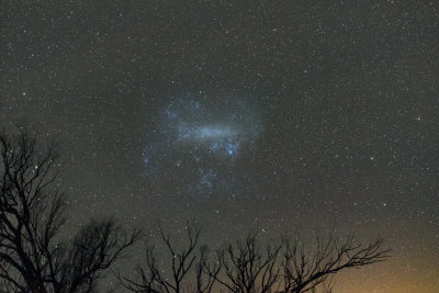 The Large Magellanic Cloud