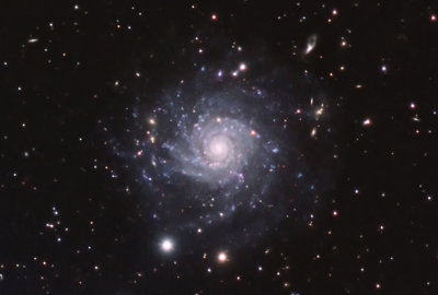 Southern Spiral Galaxy IC5332 crop view