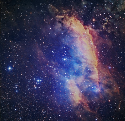 Prawn Nebula Narrowband image