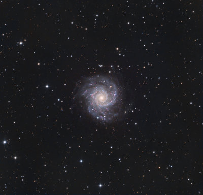 Spiral Galaxy M74 