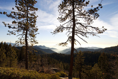 Sequoia National Park