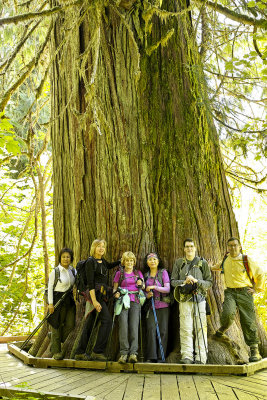 Silver Falls and Patriarchs Forrest