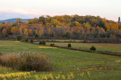 WarwickFoliage_0435-2.jpg