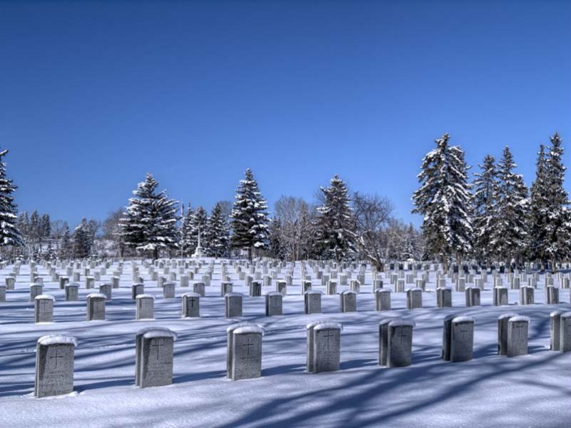 Veterans Field of Honour