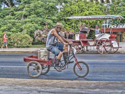 3 Wheel Transport