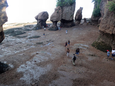 Hopewell Rocks - Low Tide