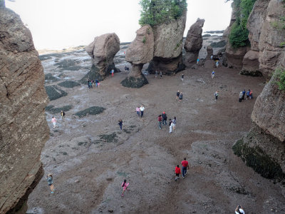 Hopewell Rocks - Low Tide