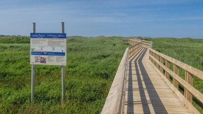 Boardwalk to Conrods Beach - Cole Harbour