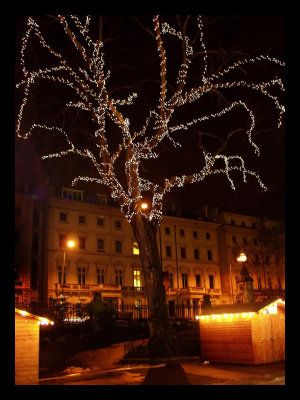 Light Tree London