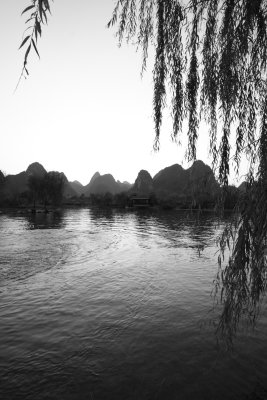 IMG_1871.jpg