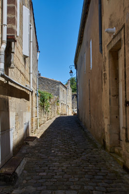 IMGP4553.jpg