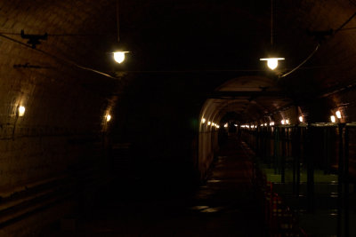 IMGP6005.jpg
