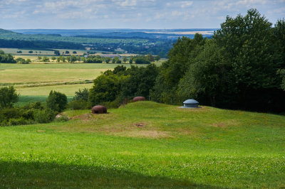 IMGP6142.jpg