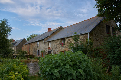 IMGP1681.jpg