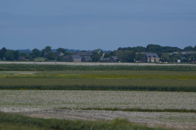IMGP2071.jpg